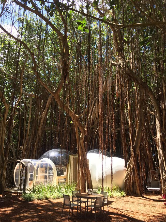 Bubble Lodge Ile Aux Cerfs Island Εξωτερικό φωτογραφία