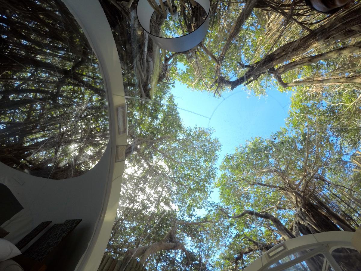 Bubble Lodge Ile Aux Cerfs Island Εξωτερικό φωτογραφία